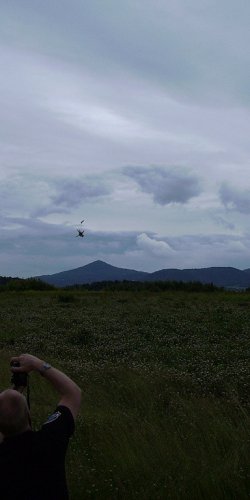 2013 Suche 29062013 Olivera